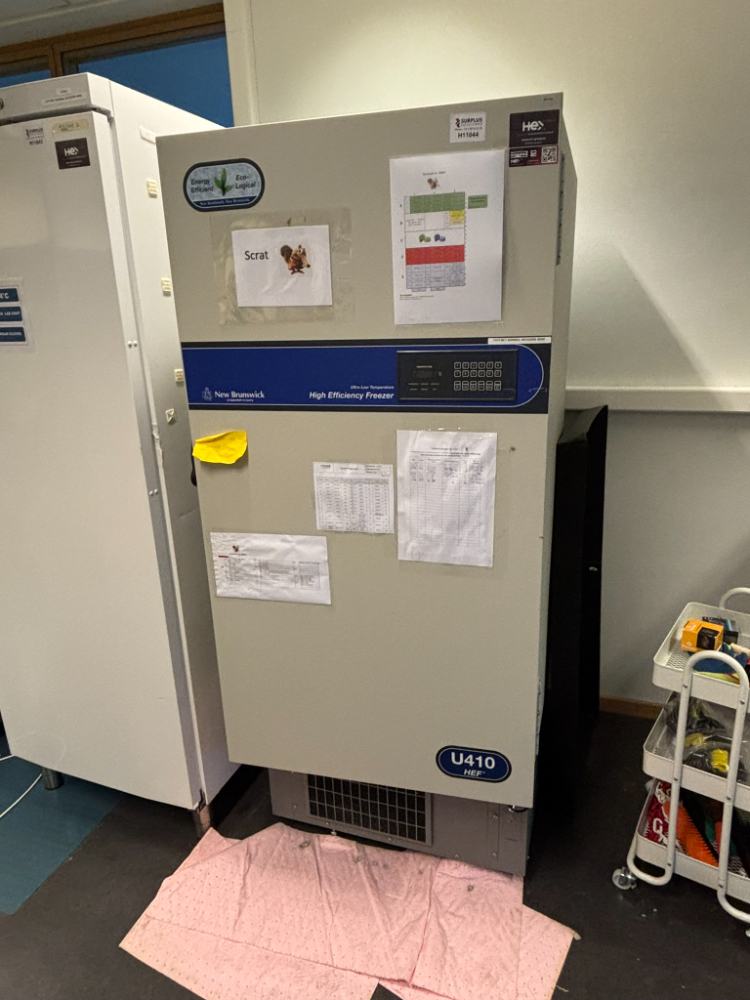 Image of New Brunswick Scientific U410-86 Freezer